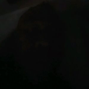 Meet your Posher, Frank